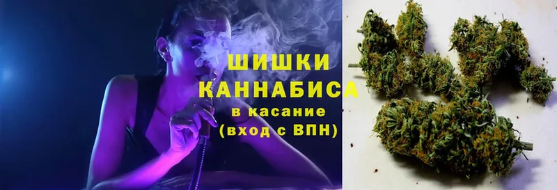 KRAKEN маркетплейс  Городовиковск  Конопля план  купить  цена 